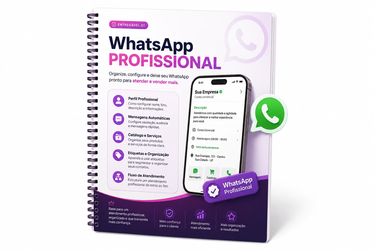 Manual Visual WhatsApp Profissional